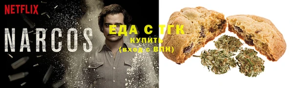 гашик Балахна