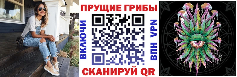 хочу наркоту Снежногорск Галлюциногенные грибы Psilocybine cubensis